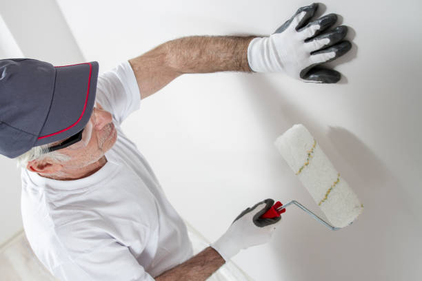 Best Crawl Space Mold Remediation  in Lincoln Village, OH