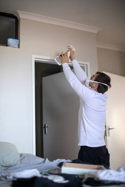 Best Black Mold Removal  in Lincoln Village, OH