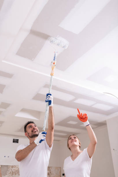 Best Mold Documentation for Insurance Claims  in Lincoln Village, OH