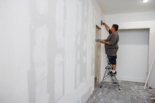 Best Basement Mold Removal  in Lincoln Village, OH
