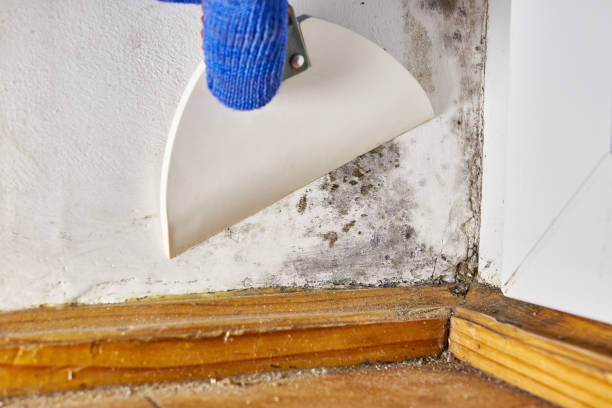 Best Post-Remediation Verification Testing  in Lincoln Village, OH